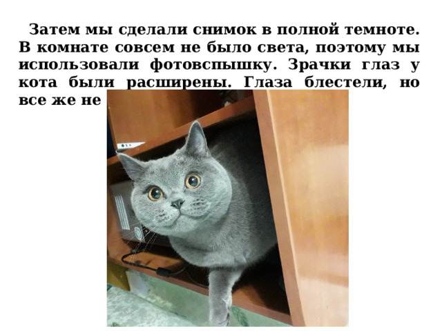  Затем мы сделали снимок в полной темноте. В комнате совсем не было света, поэтому мы использовали фотовспышку. Зрачки глаз у кота были расширены. Глаза блестели, но все же не светились. 