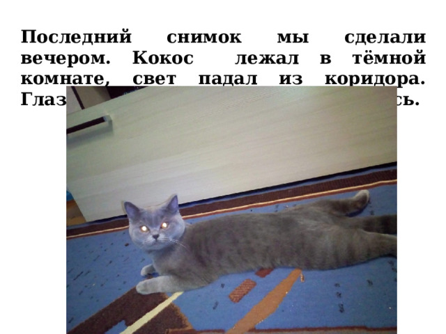 Последний снимок мы сделали вечером. Кокос лежал в тёмной комнате, свет падал из коридора. Глаза у него действительно светились. 