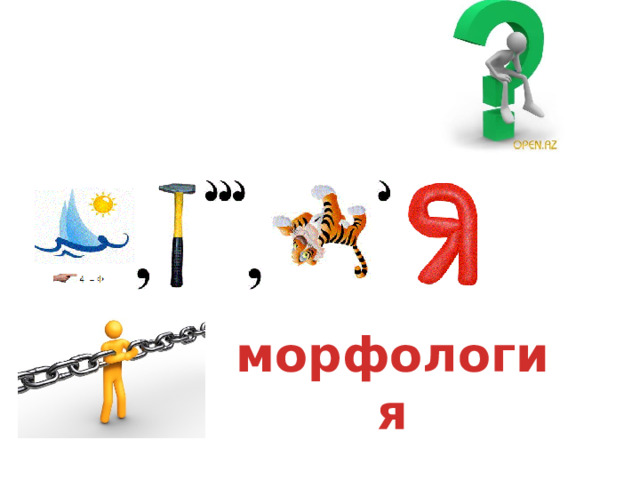 морфология 