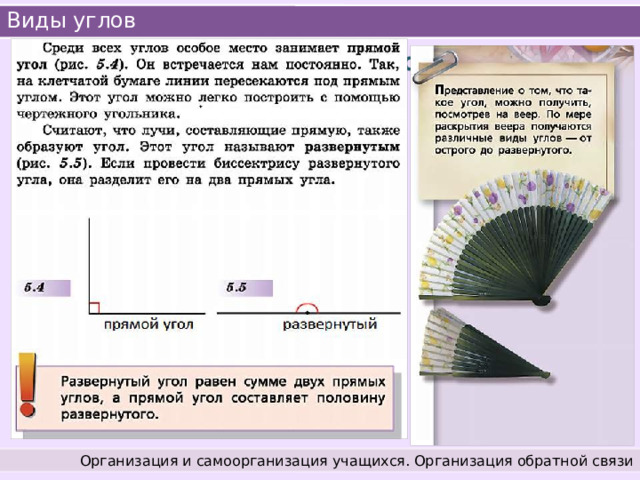 Виды углов Работа с учебником Стр. 81 Выделяют такие виды углов: прямой угол, развернутый угол, острый угол и тупой угол. Организация и самоорганизация учащихся. Организация обратной связи 