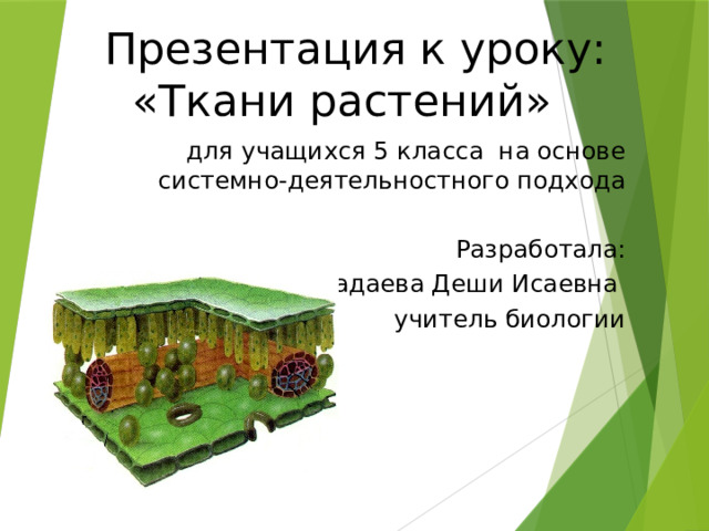  Презентация к уроку: «Ткани растений» для учащихся 5 класса на основе системно-деятельностного подхода Разработала: Мадаева Деши Исаевна учитель биологии 