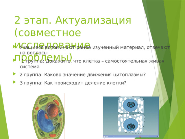 2 этап. Актуализация (совместное исследование проблемы) Учащиеся вспоминают ранее изученный материал, отвечают на вопросы  1 группа: Докажите, что клетка – самостоятельная живая система 2 группа: Каково значение движения цитоплазмы? 3 группа: Как происходит деление клетки? 