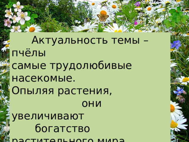  Актуальность темы – пчёлы самые трудолюбивые насекомые. Опыляя растения,  они увеличивают  богатство растительного мира. 