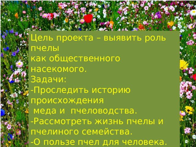 Цель проекта – выявить роль пчелы как общественного насекомого. Задачи: -Проследить историю происхождения  меда и пчеловодства. -Рассмотреть жизнь пчелы и пчелиного семейства. -О пользе пчел для человека. 