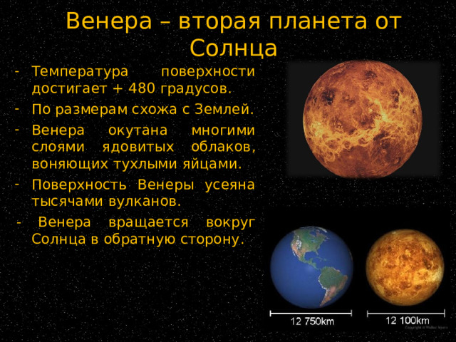 Венера – вторая планета от Солнца Температура поверхности достигает + 480 градусов. По размерам схожа с Землей. Венера окутана многими слоями ядовитых облаков, воняющих тухлыми яйцами. Поверхность Венеры усеяна тысячами вулканов. - Венера вращается вокруг Солнца в обратную сторону. 