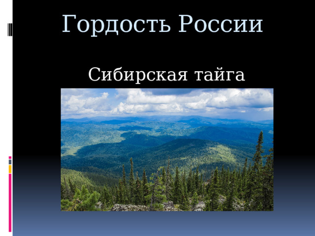 Гордость России 