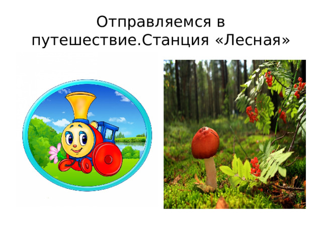 Отправляемся в путешествие.Станция «Лесная» 