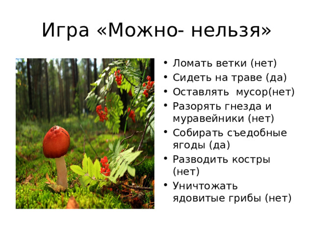 Игра «Можно- нельзя» Ломать ветки (нет) Сидеть на траве (да) Оставлять мусор(нет) Разорять гнезда и муравейники (нет) Собирать съедобные ягоды (да) Разводить костры (нет) Уничтожать ядовитые грибы (нет) 