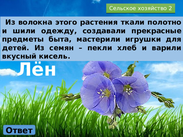 Сельское хозяйство 2  Из волокна этого растения ткали полотно и шили одежду, создавали прекрасные предметы быта, мастерили игрушки для детей. Из семян – пекли хлеб и варили вкусный кисель. Лён Ответ 