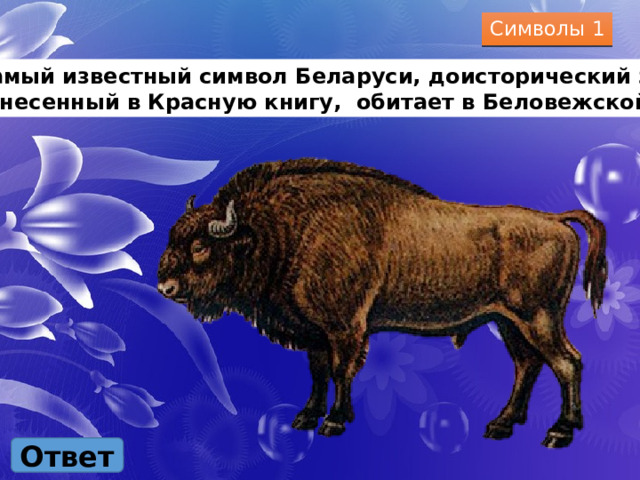 Символы 1 Самый известный символ Беларуси, доисторический зверь, занесенный в Красную книгу, обитает в Беловежской пуще Ответ 