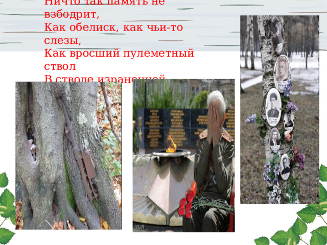 Ничто так память не взбодрит,  Как обелиск, как чьи-то слезы,  Как вросший пулеметный ствол  В стволе израненной березы. 
