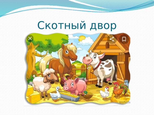 Скотный двор 