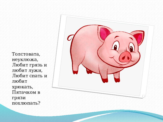 Толстовата, неуклюжа,  Любит грязь и любит лужи,  Любит спать и любит хрюкать,  Пятачком в грязи похлюпать? 
