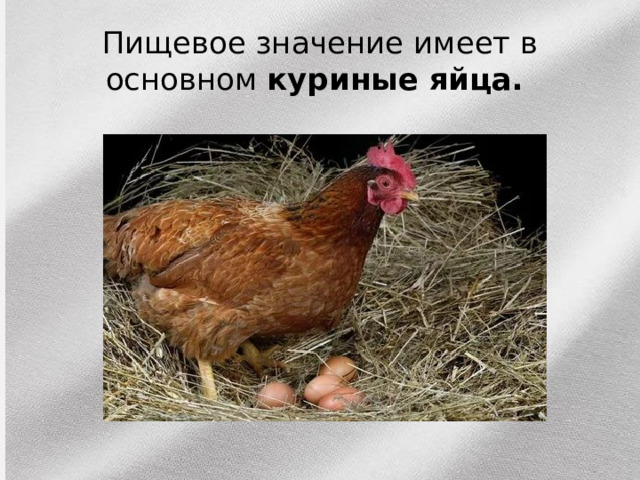 Пищевое значение имеет в основном куриные яйца. 