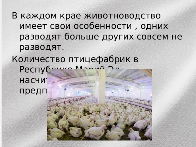 В каждом крае животноводство имеет свои особенности , одних разводят больше других совсем не разводят. Количество птицефабрик в Республике Марий Эл насчитывается около 5 предприятий. 