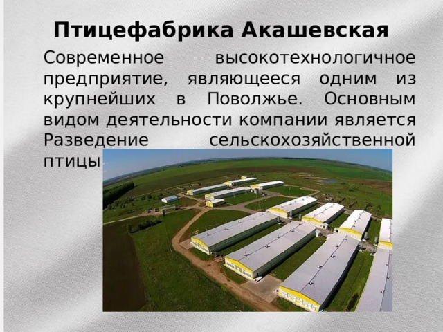 Птицефабрика Акашевская    Современное высокотехнологичное предприятие, являющееся одним из крупнейших в Поволжье. Основным видом деятельности компании является Разведение сельскохозяйственной птицы. 