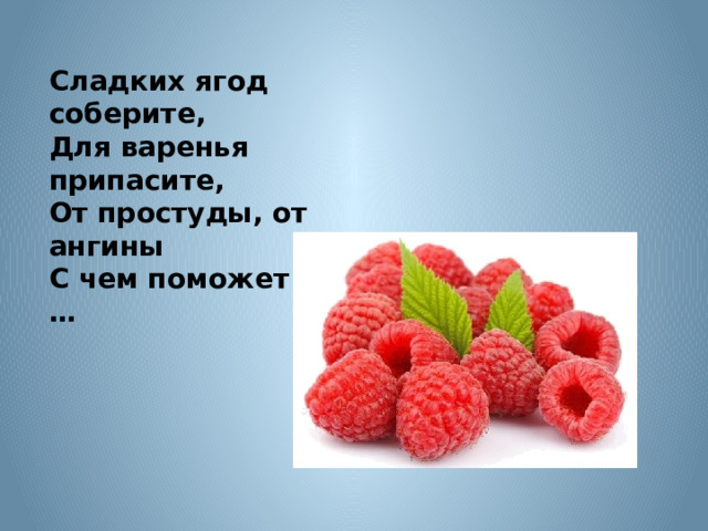Сладких ягод соберите,  Для варенья припасите,  От простуды, от ангины  С чем поможет чай? … 