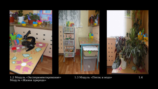 1.2 Модуль «Экспериментирование» 1.3 Модуль «Песок и вода» 1.4 Модуль «Живая природа»   