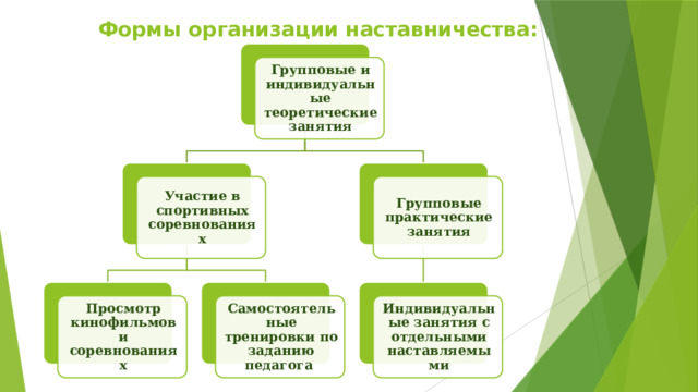 Формы организации наставничества: Групповые и индивидуальные теоретические занятия Групповые практические занятия Участие в спортивных соревнованиях Просмотр кинофильмов и соревнованиях Самостоятельные тренировки по заданию педагога Индивидуальные занятия с отдельными наставляемыми 