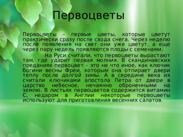 Первоцветы Первоцветы – первые цветы, которые цветут практически сразу после схода снега. Через неделю после появления на свет они уже цветут, а еще через пару недель появляются плоды с семенами.  На Руси считали, что первоцветы вырастают там, где ударит первая молния. В скандинавских преданиях первоцвет – это не что иное, как ключик богини весны Фреи, которым она отпирает двери теплу после долгой зимы. А в середине века их считали ключиками апостола Петра от двери в царство небесное, нечаянно оброненными на землю. В листьях первоцветов содержится витамин С, недаром в Англии некоторые первоцветы используют для приготовления весенних салатов.         