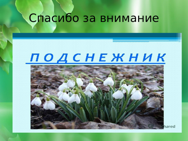 Спасибо за внимание 
