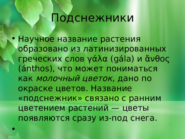 Подснежники Научное название растения образовано из латинизированных греческих слов γάλα (gála) и ἄνθος (ánthos), что может пониматься как молочный цветок , дано по окраске цветов. Название «подснежник» связано с ранним цветением растений — цветы появляются сразу из-под снега.   