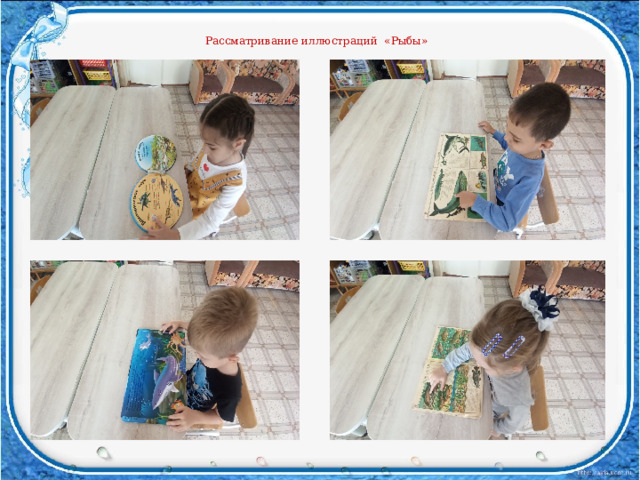  Рассматривание иллюстраций «Рыбы» 
