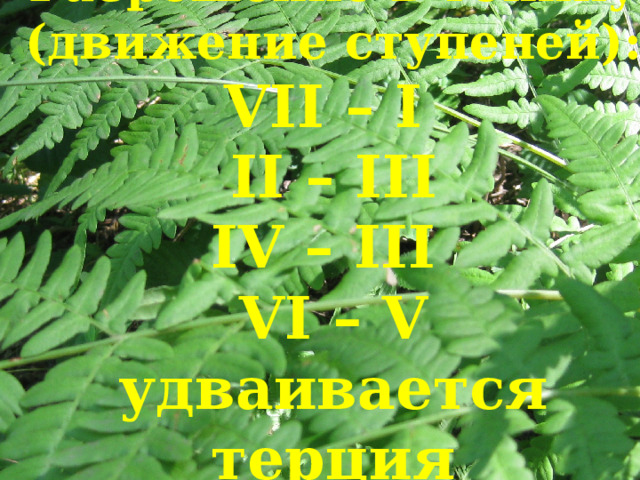  Разрешение в тонику  (движение ступеней):  VII – I  II – III  IV – III  VI – V  удваивается терция 