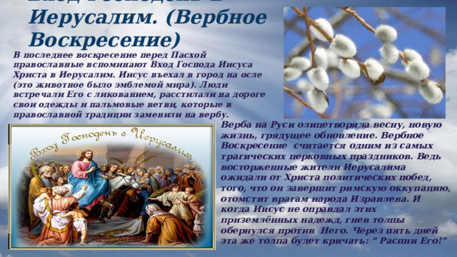 Вход Господень В Иерусалим. (Вербное Воскресение) В последнее воскресение перед Пасхой православные вспоминают Вход Господа Иисуса Христа в Иерусалим. Иисус въехал в город на осле (это животное было эмблемой мира). Люди встречали Его с ликованием, расстилали на дороге свои одежды и пальмовые ветви, которые в православной традиции заменили на вербу. Верба на Руси олицетворяла весну, новую жизнь, грядущее обновление. Вербное Воскресение считается одним из самых трагических церковных праздников. Ведь восторженные жители Иерусалима ожидали от Христа политических побед, того, что он завершит римскую оккупацию, отомстит врагам народа Израилева. И когда Иисус не оправдал этих приземлённых надежд, гнев толпы обернулся против Него. Через пять дней эта же толпа будет кричать: “ Распни Его!” 