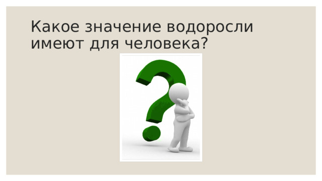 Какое значение водоросли имеют для человека? 