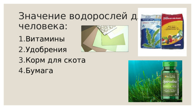 Значение водорослей для человека: Витамины Удобрения Корм для скота Бумага 