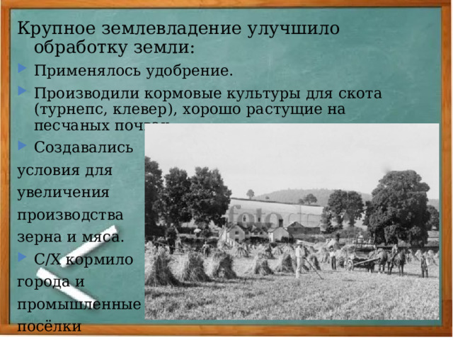 Крупное землевладение улучшило обработку земли: Применялось удобрение. Производили кормовые культуры для скота (турнепс, клевер), хорошо растущие на песчаных почвах. Создавались условия для увеличения производства зерна и мяса. С/Х кормило города и промышленные посёлки 