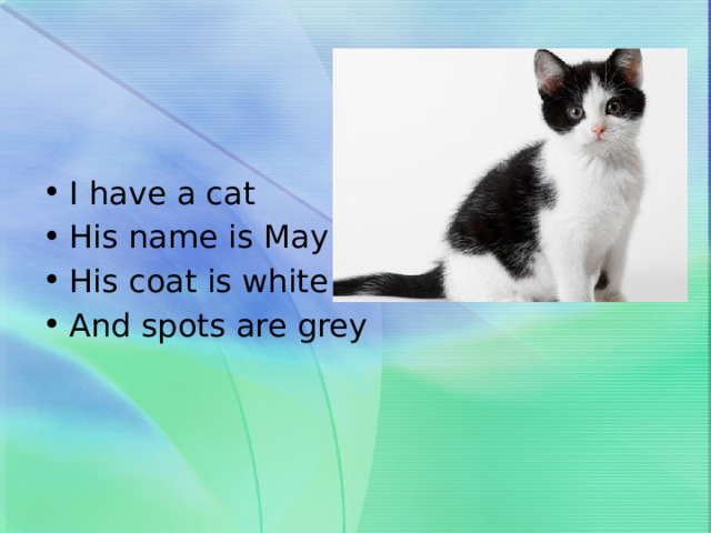   I have a cat His name is May His coat is white And spots are grey 