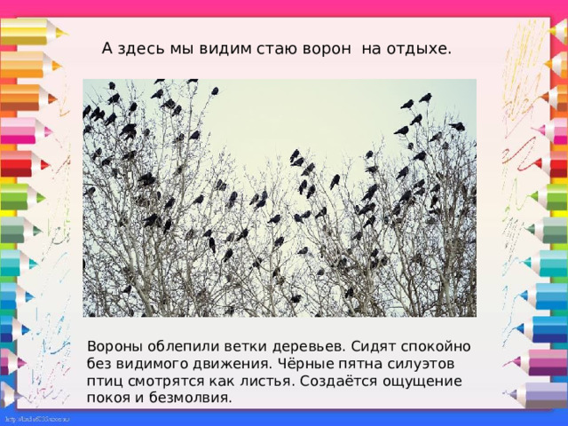 А здесь мы видим стаю ворон на отдыхе.   Вороны облепили ветки деревьев. Сидят спокойно без видимого движения. Чёрные пятна силуэтов птиц смотрятся как листья. Создаётся ощущение покоя и безмолвия. 