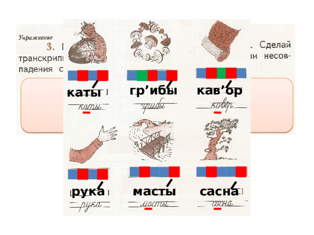 кав’ор гр’ибы каты сасна масты рука 