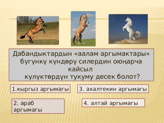 Дабандыктардын «аалам аргымактары» бүгүнкү күндөрү силердин оюңарча кайсыл  күлүктөрдүн тукуму десек болот? кыргыз аргымагы 3. ахалтекин аргымагы 4. алтай аргымагы  2. араб аргымагы 