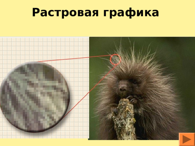 Растровая графика 