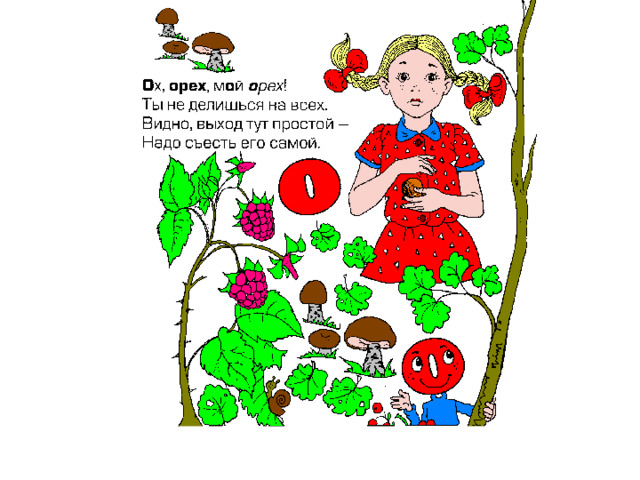 Плод со съедобным ядром в скорлупе. 
