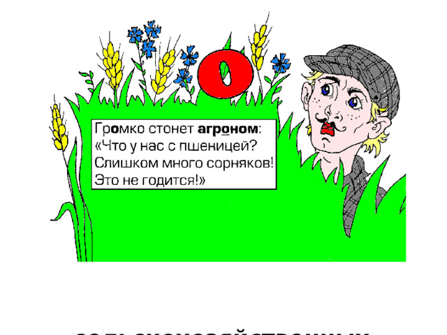  Специалист по возделыванию сельскохозяйственных культур 