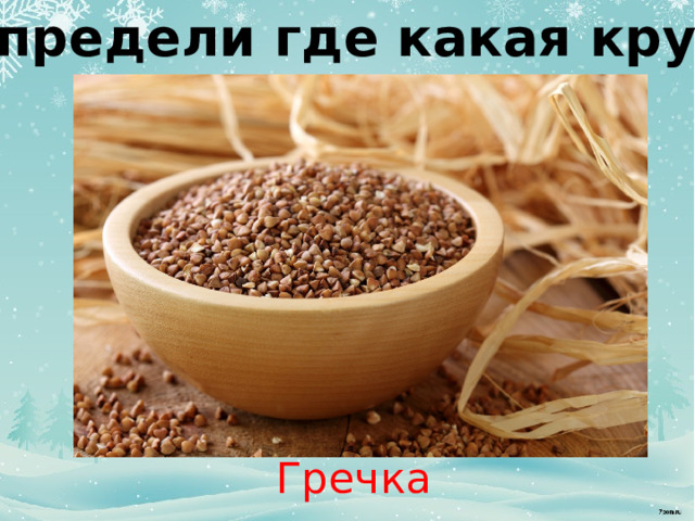 Определи где какая крупа Гречка 