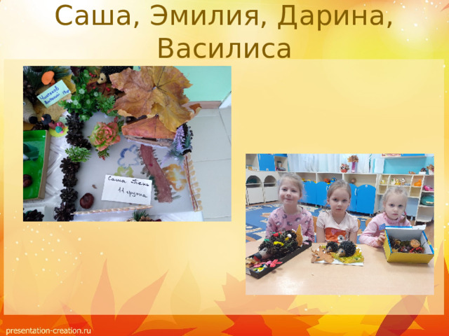 Саша, Эмилия, Дарина, Василиса 