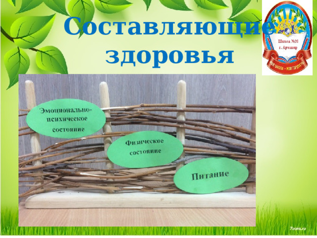 Составляющие здоровья 