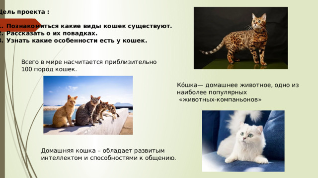 Цель проекта :  Познакомиться какие виды кошек существуют. Рассказать о их повадках. Узнать какие особенности есть у кошек.  Всего в мире насчитается приблизительно  100 пород кошек. Ко́шка— домашнее животное, одно из наиболее популярных  «животных-компаньонов» Домашняя кошка – обладает развитым интеллектом и способностями к общению. 