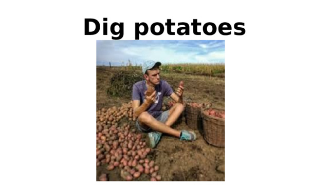 Dig potatoes 