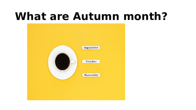 What are Autumn month? 