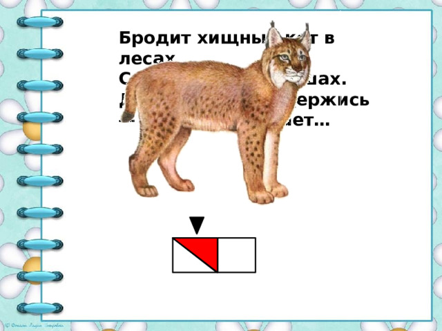 Бродит хищный кот в лесах С кисточками на ушах. Дальше от него держись — Быстро нападает…  