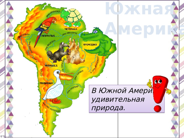 Южная Америка В Южной Америке удивительная природа. 