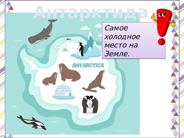 Антарктида Самое холодное место на Земле. 