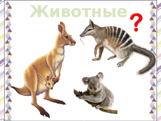 Животные 