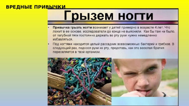 ВРЕДНЫЕ ПРИВЫЧКИ 